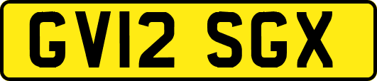 GV12SGX