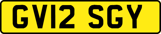 GV12SGY