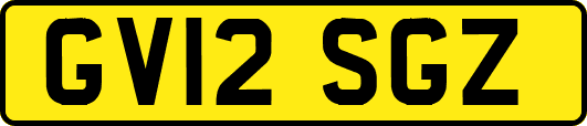 GV12SGZ