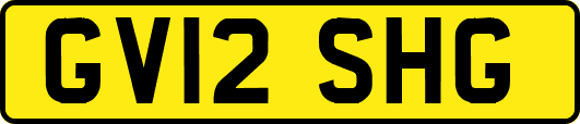 GV12SHG