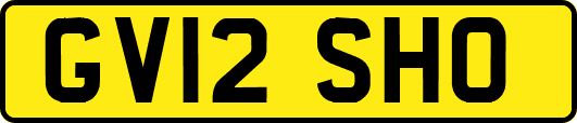 GV12SHO