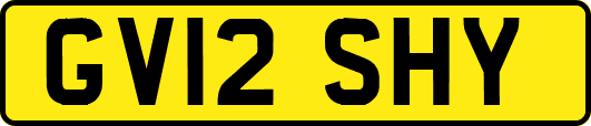 GV12SHY