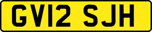 GV12SJH