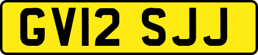 GV12SJJ