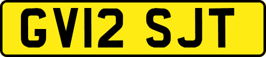 GV12SJT