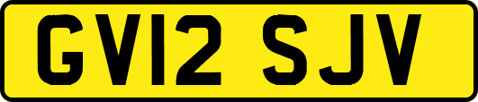 GV12SJV