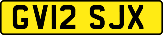 GV12SJX