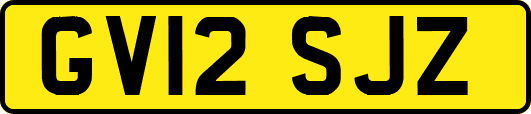 GV12SJZ