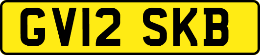 GV12SKB
