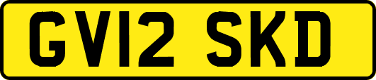 GV12SKD