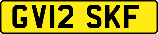 GV12SKF