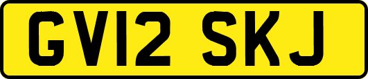 GV12SKJ