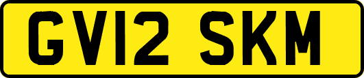 GV12SKM