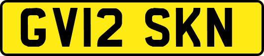 GV12SKN