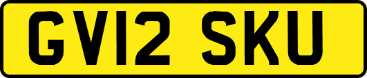 GV12SKU