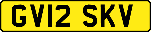 GV12SKV