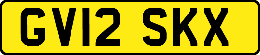 GV12SKX