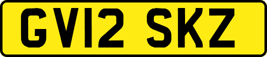 GV12SKZ