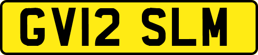 GV12SLM