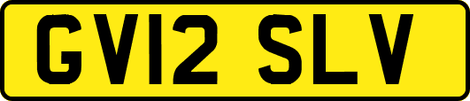GV12SLV