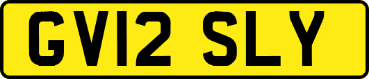 GV12SLY