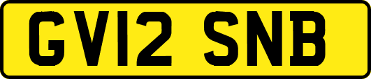 GV12SNB