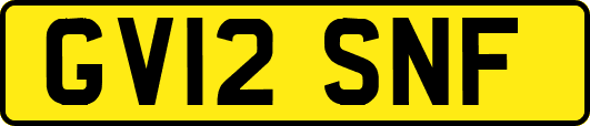 GV12SNF