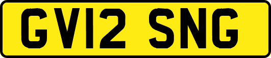 GV12SNG