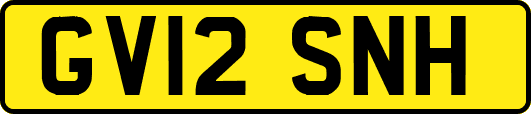 GV12SNH