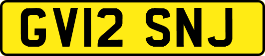 GV12SNJ