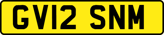 GV12SNM