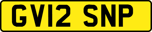 GV12SNP