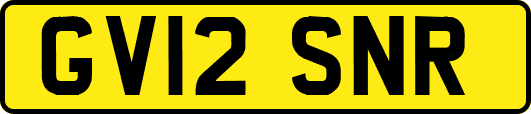 GV12SNR