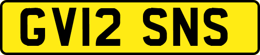 GV12SNS