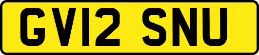 GV12SNU