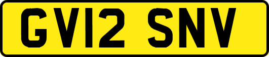 GV12SNV