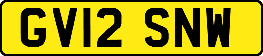 GV12SNW