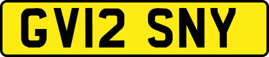 GV12SNY