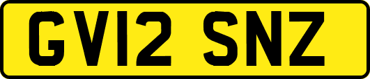 GV12SNZ