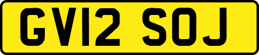 GV12SOJ