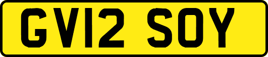 GV12SOY