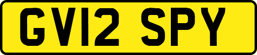 GV12SPY