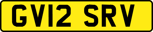 GV12SRV