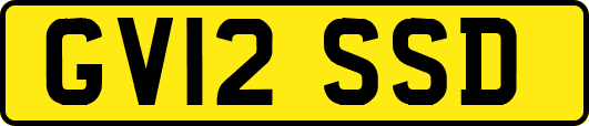 GV12SSD