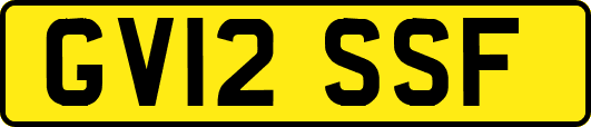 GV12SSF