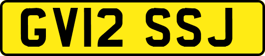 GV12SSJ