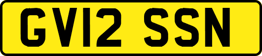 GV12SSN