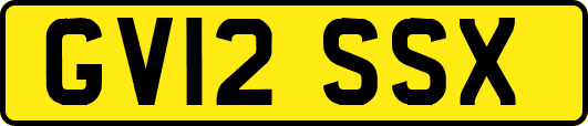 GV12SSX