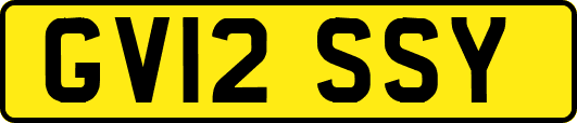 GV12SSY