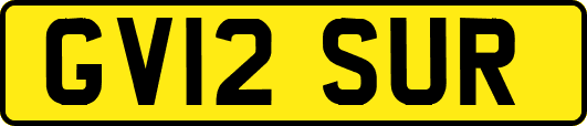 GV12SUR